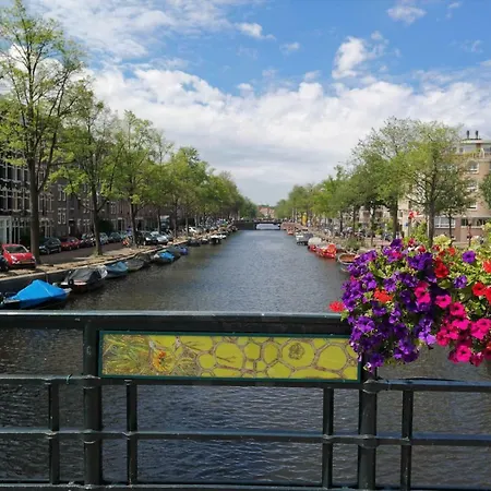 Canaliscious * Amsterdam